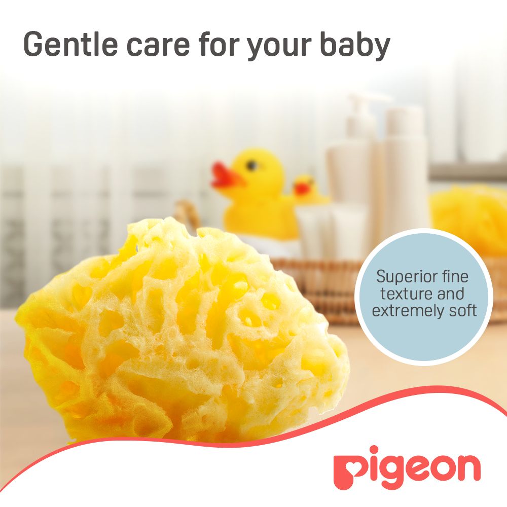 Pigeon - Natural Sponge (L) — تصویر 4